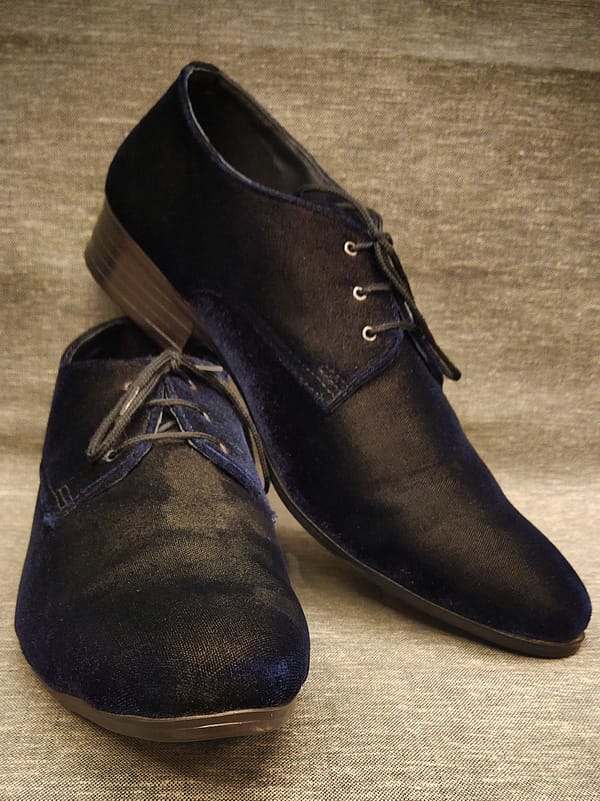 Violet Blue Designer Velvet Shoes